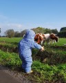 Ducksday-baby-snowsuit-Funky-Blue-6_low