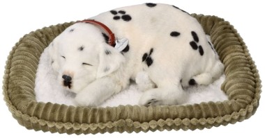 Dalmatyńczyk Śpiący, oddychający szczeniaczek, Perfect Petzzz 