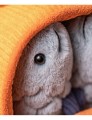 IMG_0768.jpeg