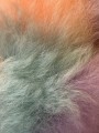 IMG_1589.jpeg